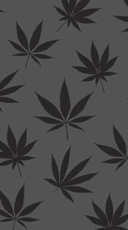 coque Feuille de cannabis Pattern