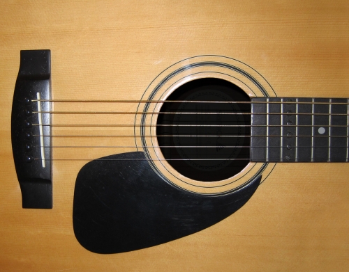 coque Guitare