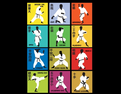 coque Karate techniques
