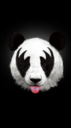 coque Panda Punk