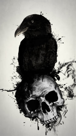 coque Raven and Skull