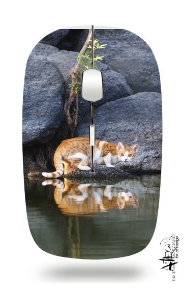 Mouse Cat Reflection in Pond Water 