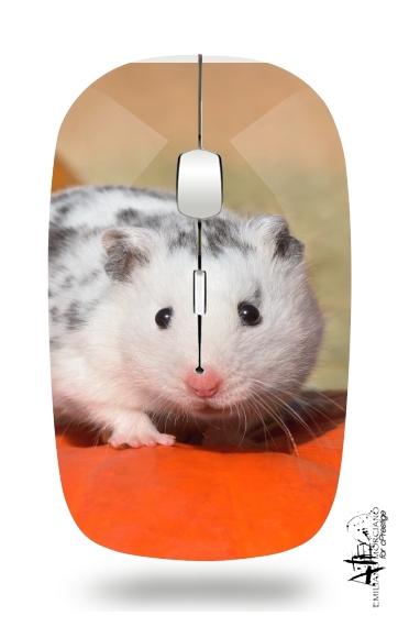 Mouse White Dalmatian Hamster with black spots  