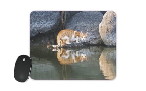 tapis de souris Cat Reflection in Pond Water