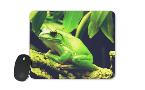 tappetino Green Frog 