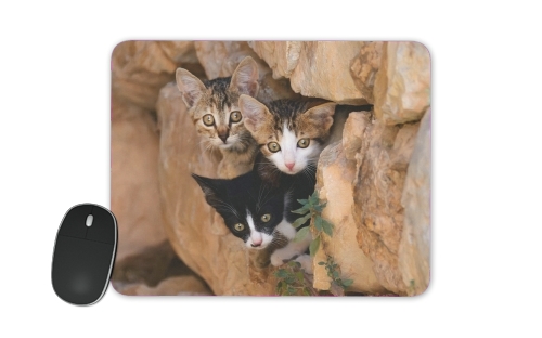 tapis de souris Three cute kittens in a wall hole