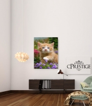 poster Cute ginger kitten in a flowery garden, lovely and enchanting cat