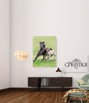 poster Horses, wild Duelmener ponies, mare and foal