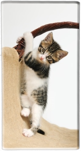 portatile Bambino gatto, simpatico gattino arrampicata 
