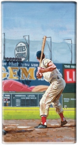 portatile Baseball Painting 