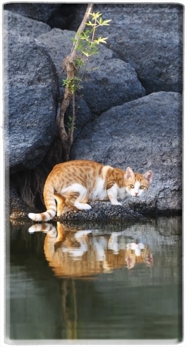 portatile Cat Reflection in Pond Water 
