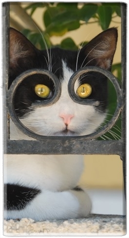portatile Cat with spectacles frame, she looks through a wrought iron fence 