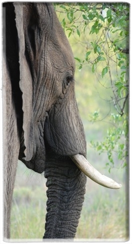 portatile Elephant 