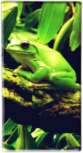 portatile Green Frog 