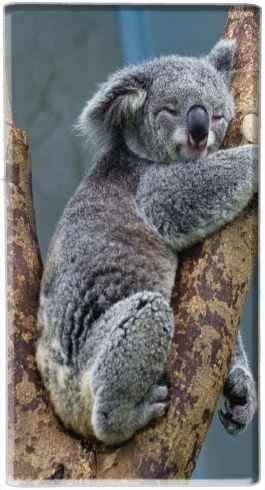 portatile Koala Bear Australia 