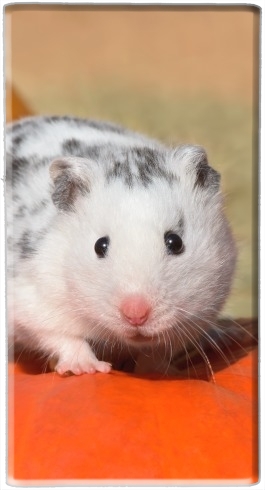 portatile White Dalmatian Hamster with black spots  