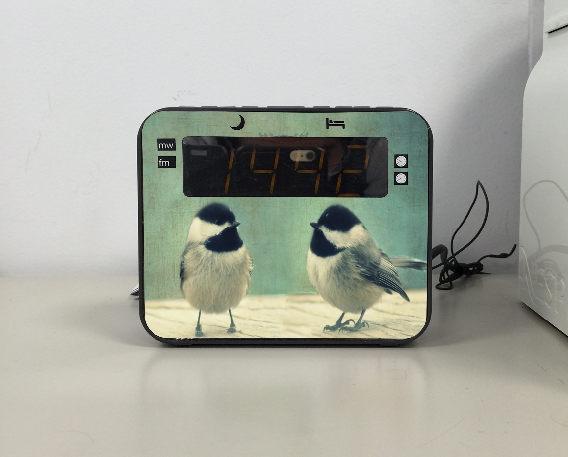 Radio Hello Birds 