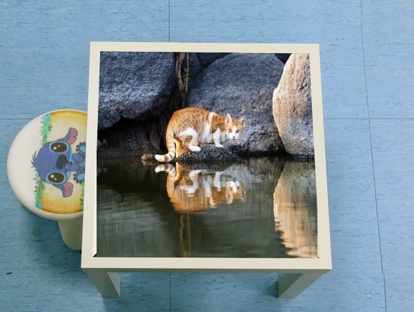 table d'appoint Cat Reflection in Pond Water