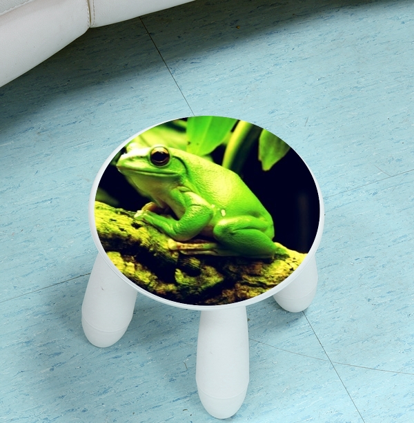 sgabello Green Frog 