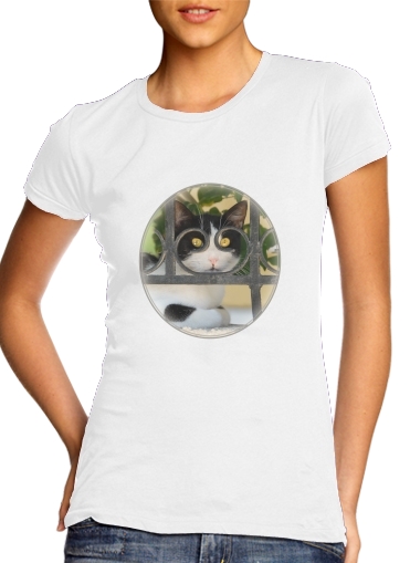 Tshirt Cat with spectacles frame, she looks through a wrought iron fence femme