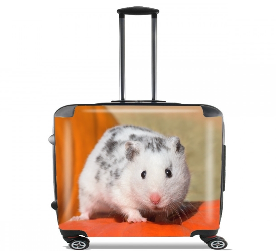 Wheeled White Dalmatian Hamster with black spots  