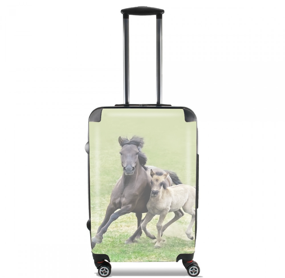valise Horses, wild Duelmener ponies, mare and foal