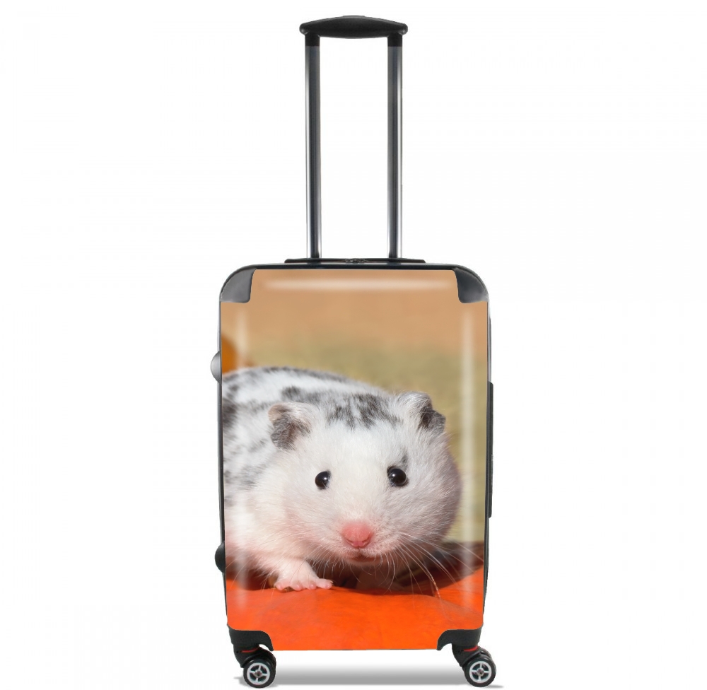 valise White Dalmatian Hamster with black spots 