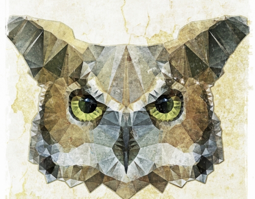 coque abstract owl