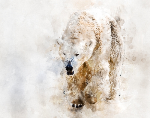 coque Abstract watercolor polar bear