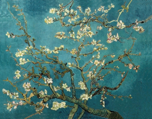 coque Almond Branches in Bloom
