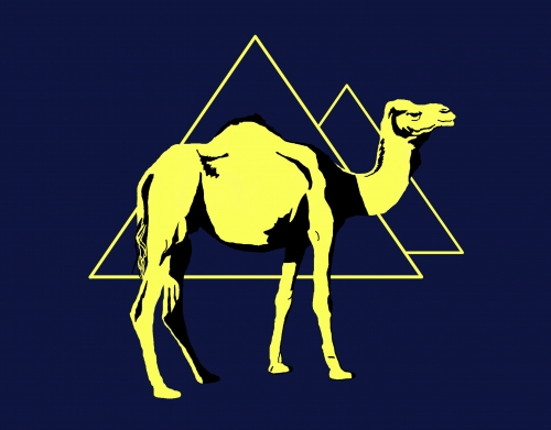 coque Arabian Camel (Dromadaire)