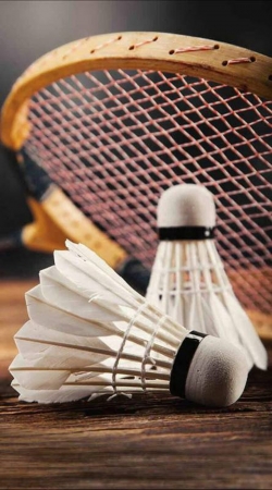 coque Badminton Champion
