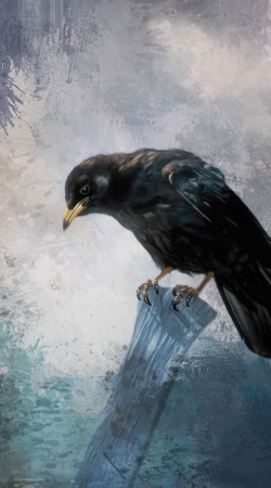 coque Black Crow