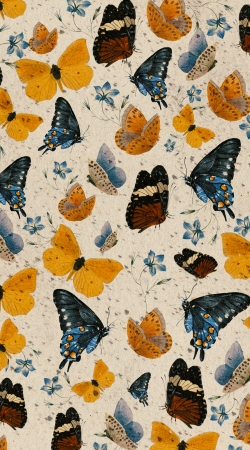 coque Butterflies I