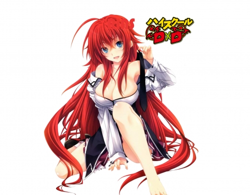coque Cleavage Rias DXD HighSchool