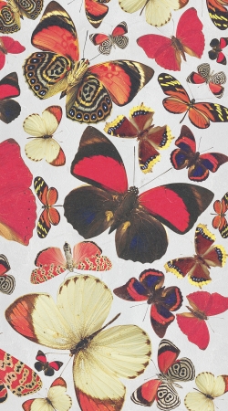 coque Come with me butterflies
