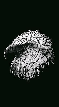 coque cracked Bald eagle 