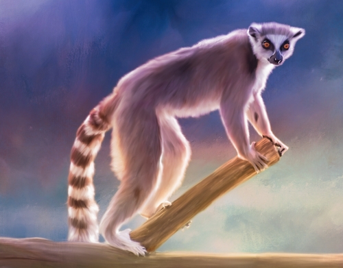 coque Cute painted Ring-tailed lemur