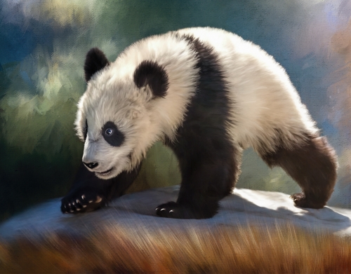 coque Cute panda bear baby