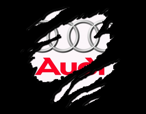 coque Fan Driver Audi GriffeSport