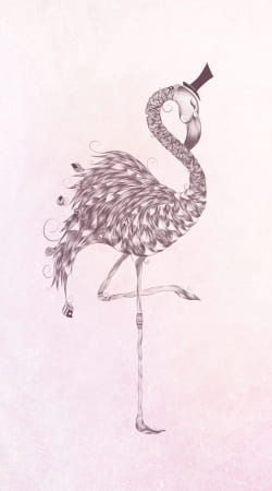 coque Flamingo