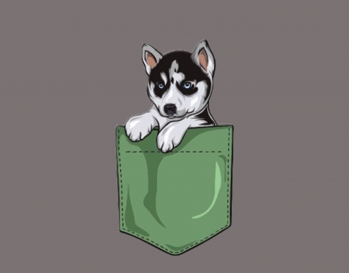 coque Husky Dog in the pocket