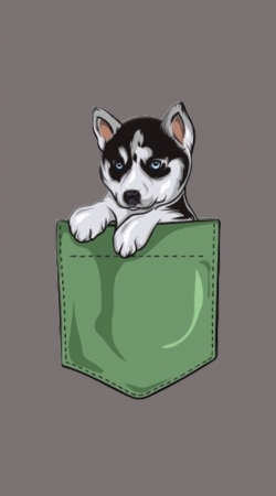 coque Husky Dog in the pocket