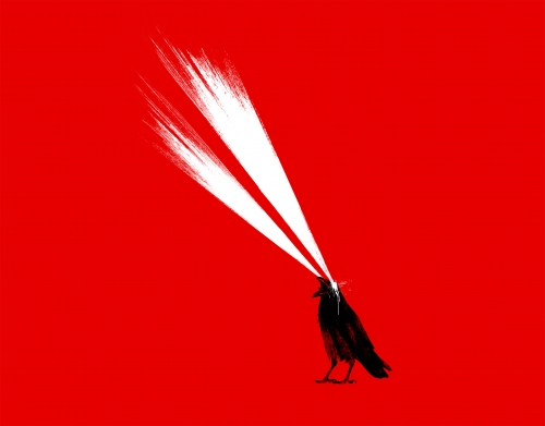 coque Laser crow