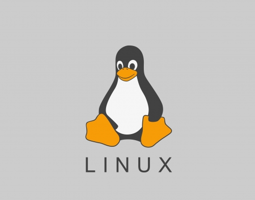 coque Linux Hébergement