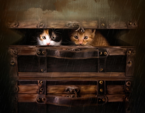 coque Little cute kitten in an old wooden case