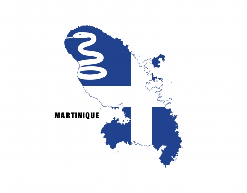 coque Martinique Flag