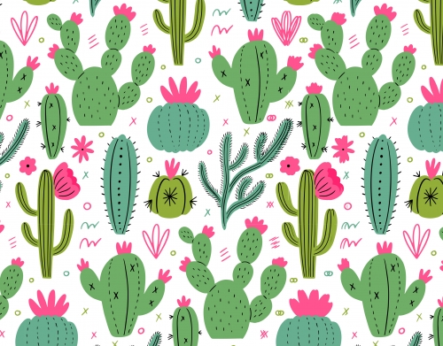 coque Minimalist pattern with cactus plants