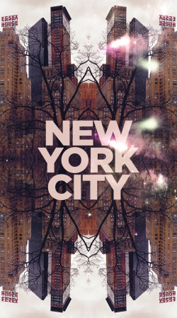 coque New York City VI (6)