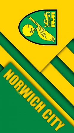 coque Norwich City